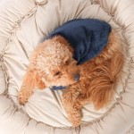 Frank Barker by Splosh Velvet Lined Navy Corduroy Dog Coat | Three Sizes